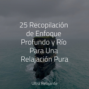 Polvo Rodante