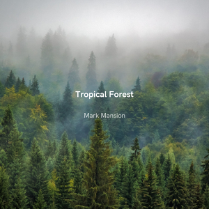 Tropical Forest (Radio Edit)