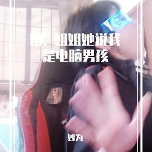 OK 姐姐她说我是电脑男孩
