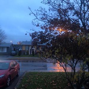 Sidewalk Shenanigans