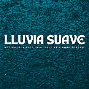 Ruido De Llovizna Incesante