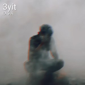 3Yit
