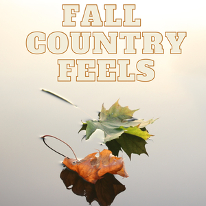 Body Like A Back Road