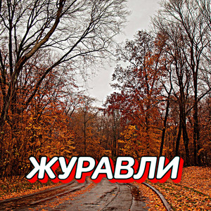 ЖУРАВЛИ