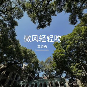 微风轻轻吹