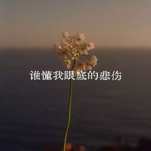 谁懂我眼底的悲伤