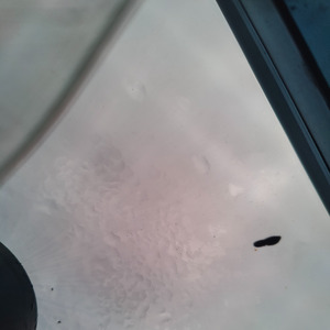 அமெரிக்கா