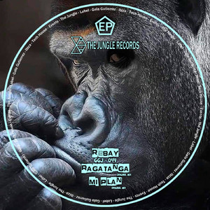 Mi Plan (Original Mix)