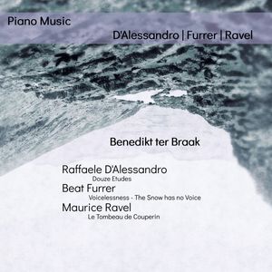 Voicelessness - The Snow Has no Voice