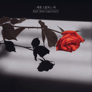 凋零与盛放之间demo