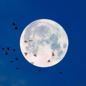 少年锦时