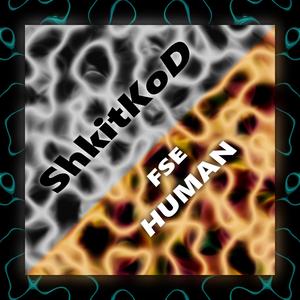 FSE Human