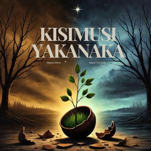 Kisimusi yakanaka