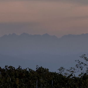 Crepuscule
