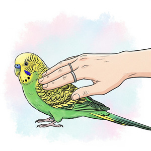 SE EU PASSAR A MINHA MÃO NA SUA PIRIKITA