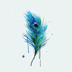 傣家印象 (feat.方晴)