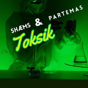 Toksik (feat. Partemas)