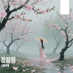 琵琶骨