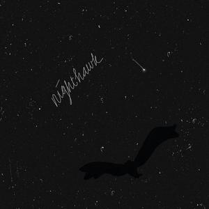 Nighthawk (Demo)