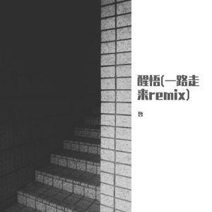 醒悟(一路走来remix)
