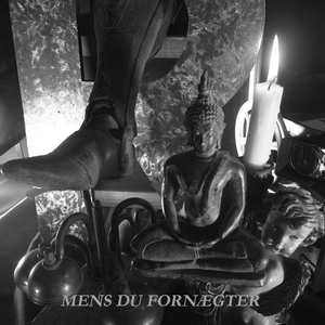 Mens du fornægter