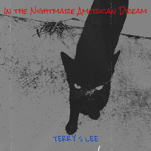 In the Nightmare American Dream