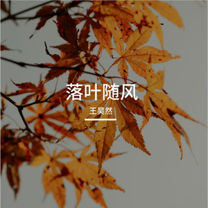 落叶随风