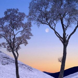 你是人间四月天