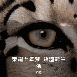 荣耀七年梦 轨道新生活