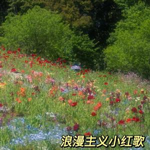 浪漫主义小红歌