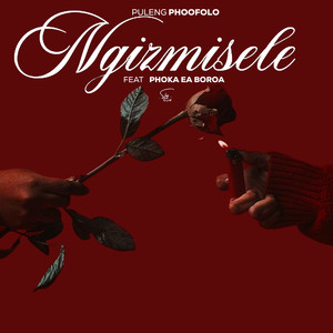 Ngizmisele