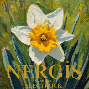 Nergis
