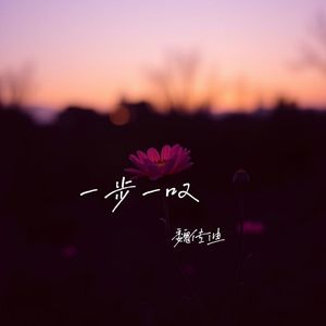 一步一叹