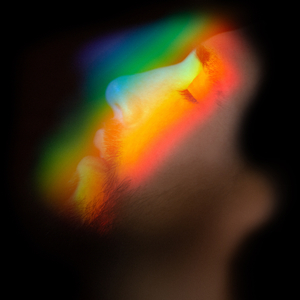 Journeyman (Instrumental)