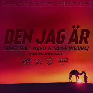Den Jag Är (Radio Edit)