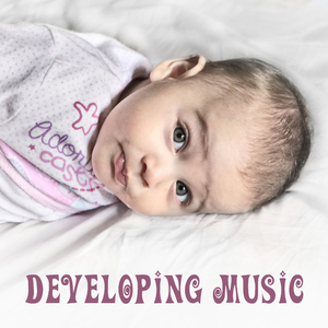 Ave Maria, Op. 52 No. 6, D. 839