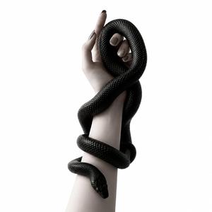 Your Venom