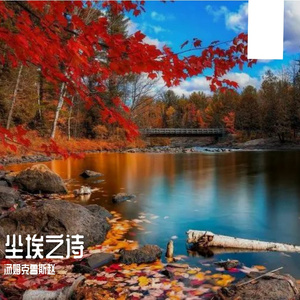 散旗
