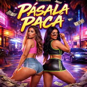 Pasala paca