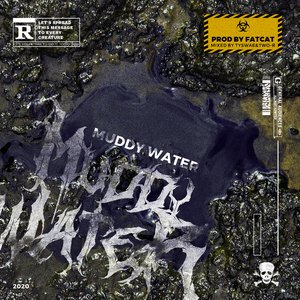 Muddy Water（浑水）