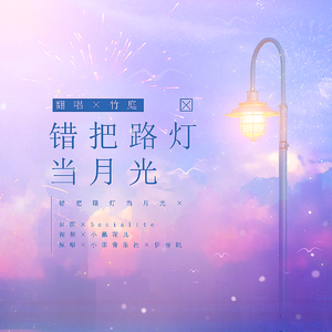 错把路灯当月光