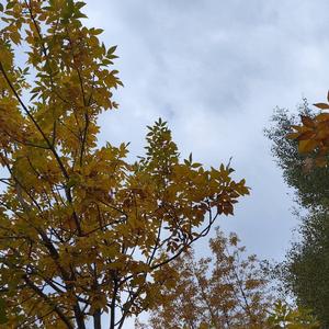 在你最爱我的时候，我却选择放开了手