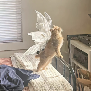 she say（prod.by Morrow x ayoley）我们从来没有见过面