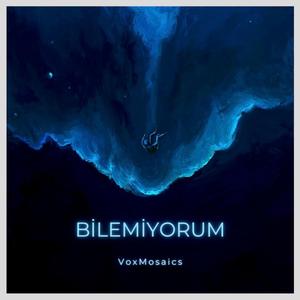 Bilemiyorum