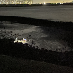 我怎么去相信（prod by FRESH_ye）