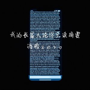 我的长篇大论你只读摘要