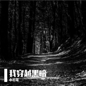 我穿越黑暗 伴奏