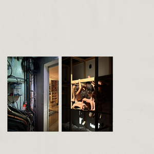 Dichotomy