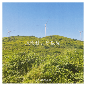 风吹过，所以呢