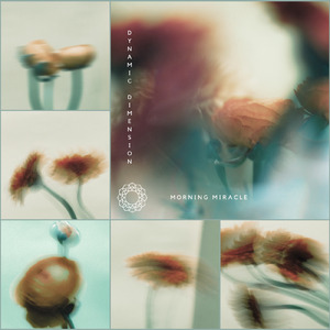 432 Hz Emotional Release